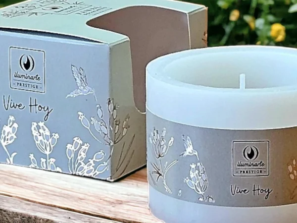 FANAL LISTO PARA USAR