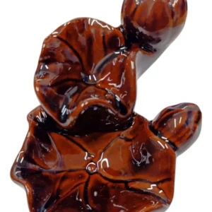 CASCADA HOJA CHICA: imagen 3