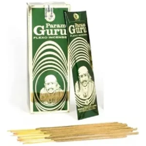 Param Guru masala CAJA X 12: imagen 2