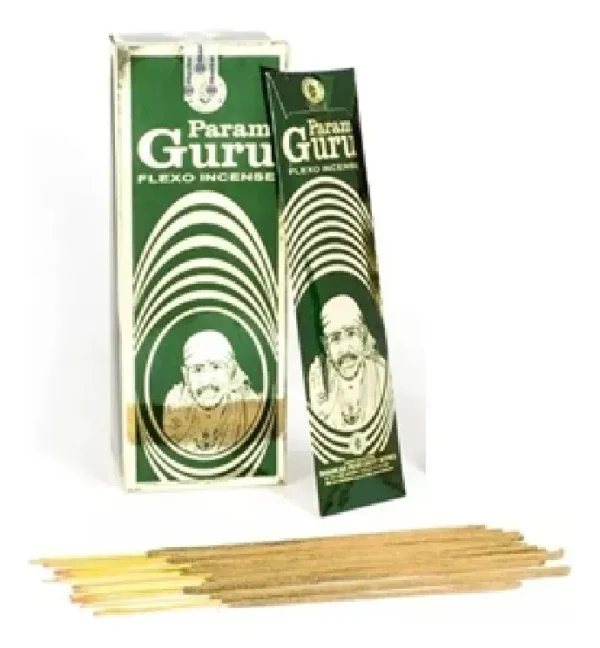 Param Guru masala CAJA X 12