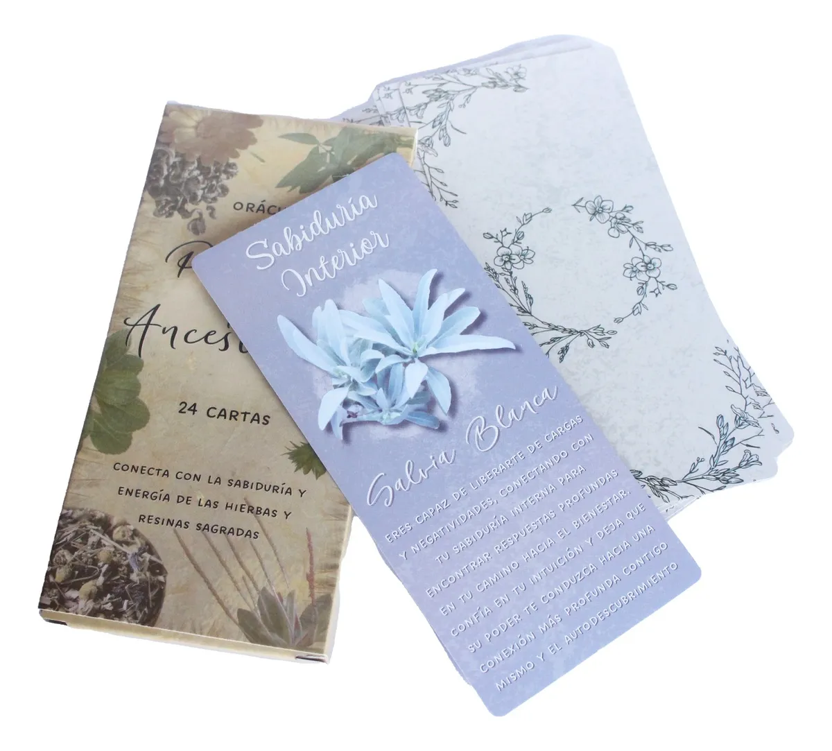 Oráculo de las Plantas Ancestrales: imagen 4