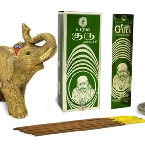 Param Guru masala CAJA X 12: imagen 1