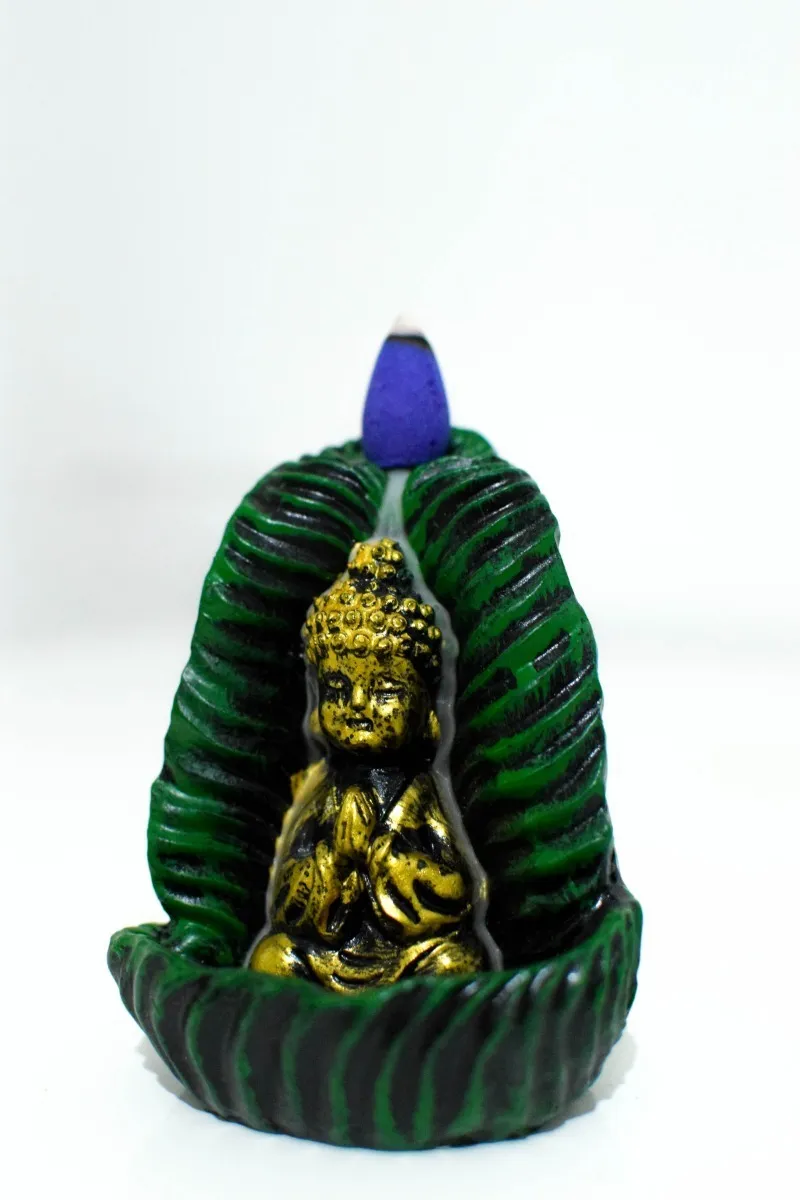 CASCADA BUDA: imagen 2