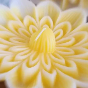 VELA FLOTANTE IRUPE GIGANTE: imagen 3