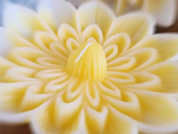 VELA FLOTANTE IRUPE GIGANTE