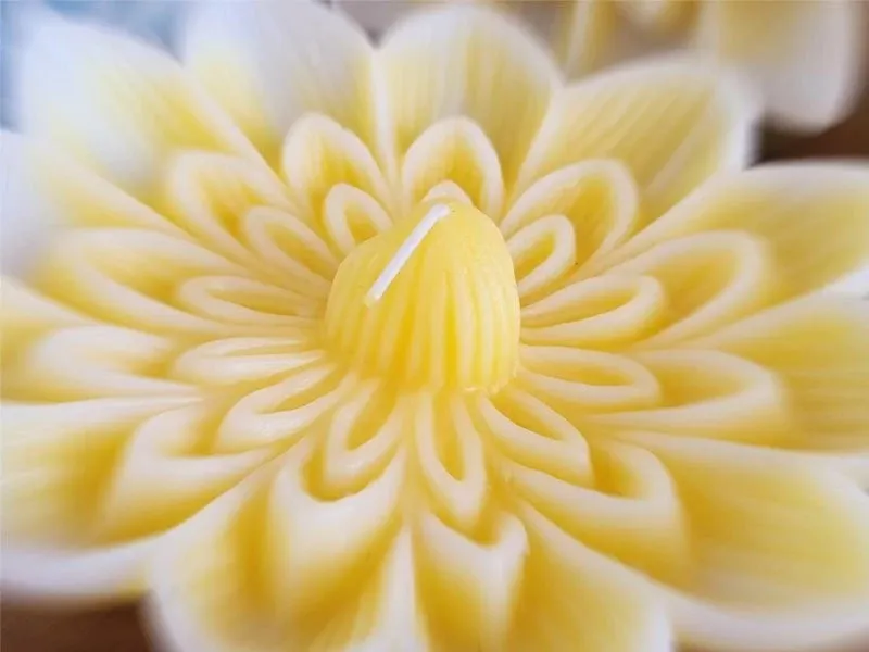 VELA FLOTANTE IRUPE GIGANTE: imagen 3