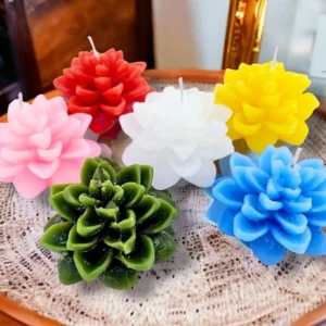 VELAS SUCULENTAS: imagen 2