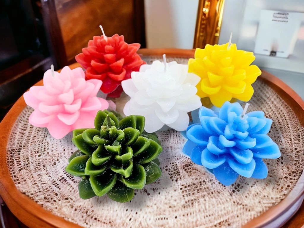 VELAS SUCULENTAS: imagen 2