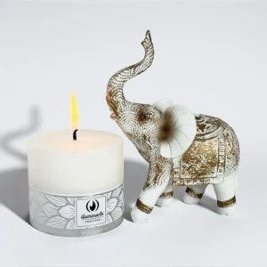 SPA LINE CHICO: imagen 2