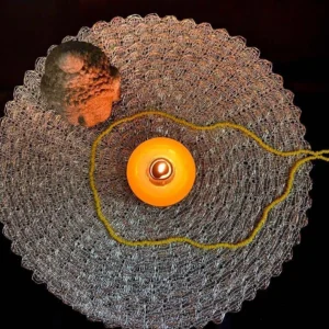 VELON OJO TURCO: imagen 2