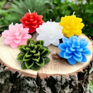 VELAS SUCULENTAS: imagen 1