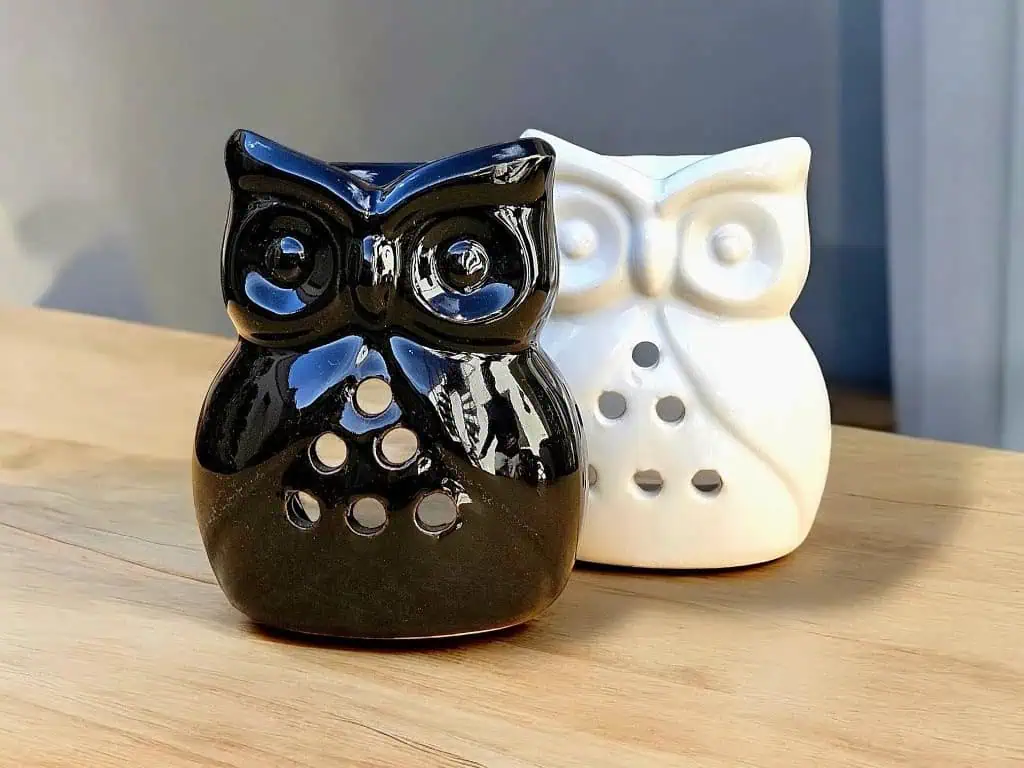 HORNO BUO CALADO: imagen 1