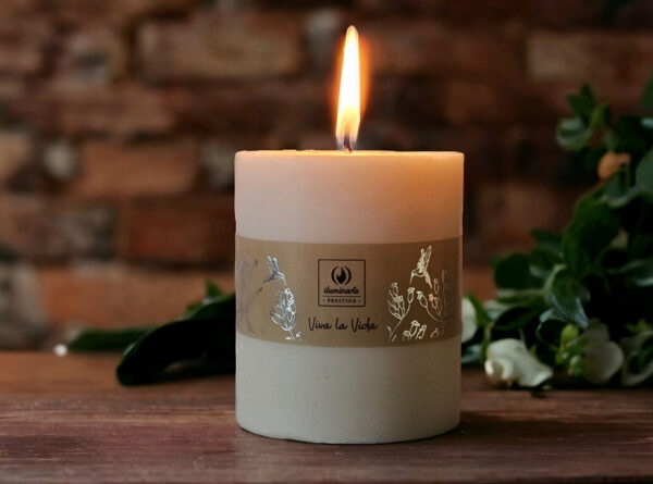 VELON DECO CERA VEGETAL