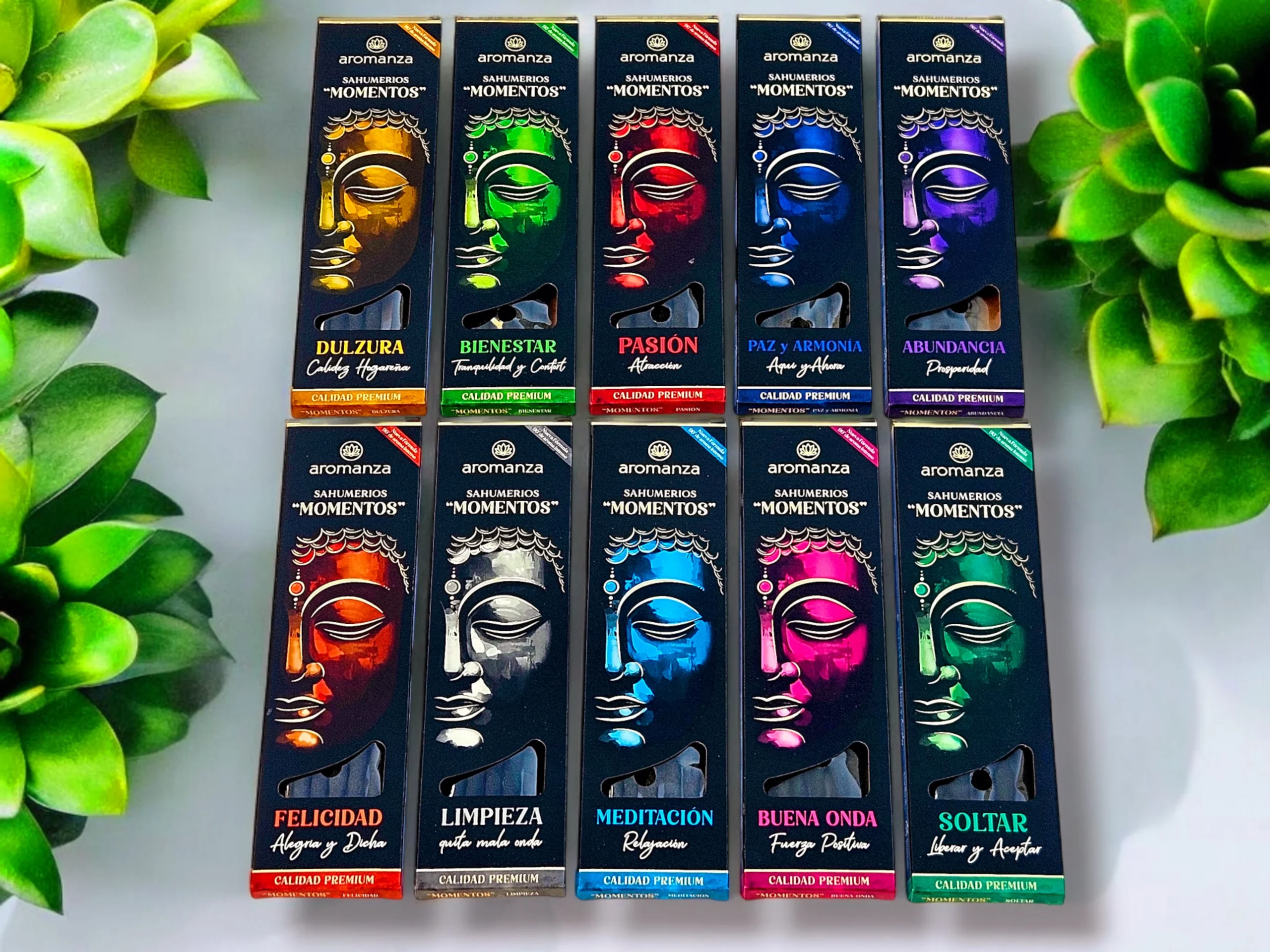 LINEA MOMENTOS: imagen 2