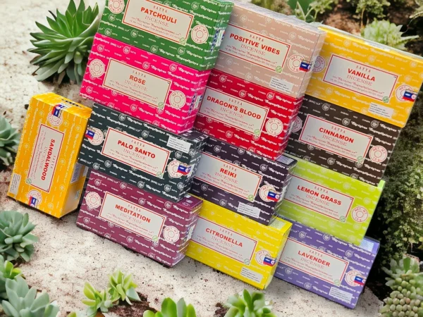 SATYA VARIEDAD CAJA X 12