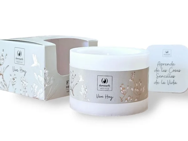 FANAL LISTO PARA USAR